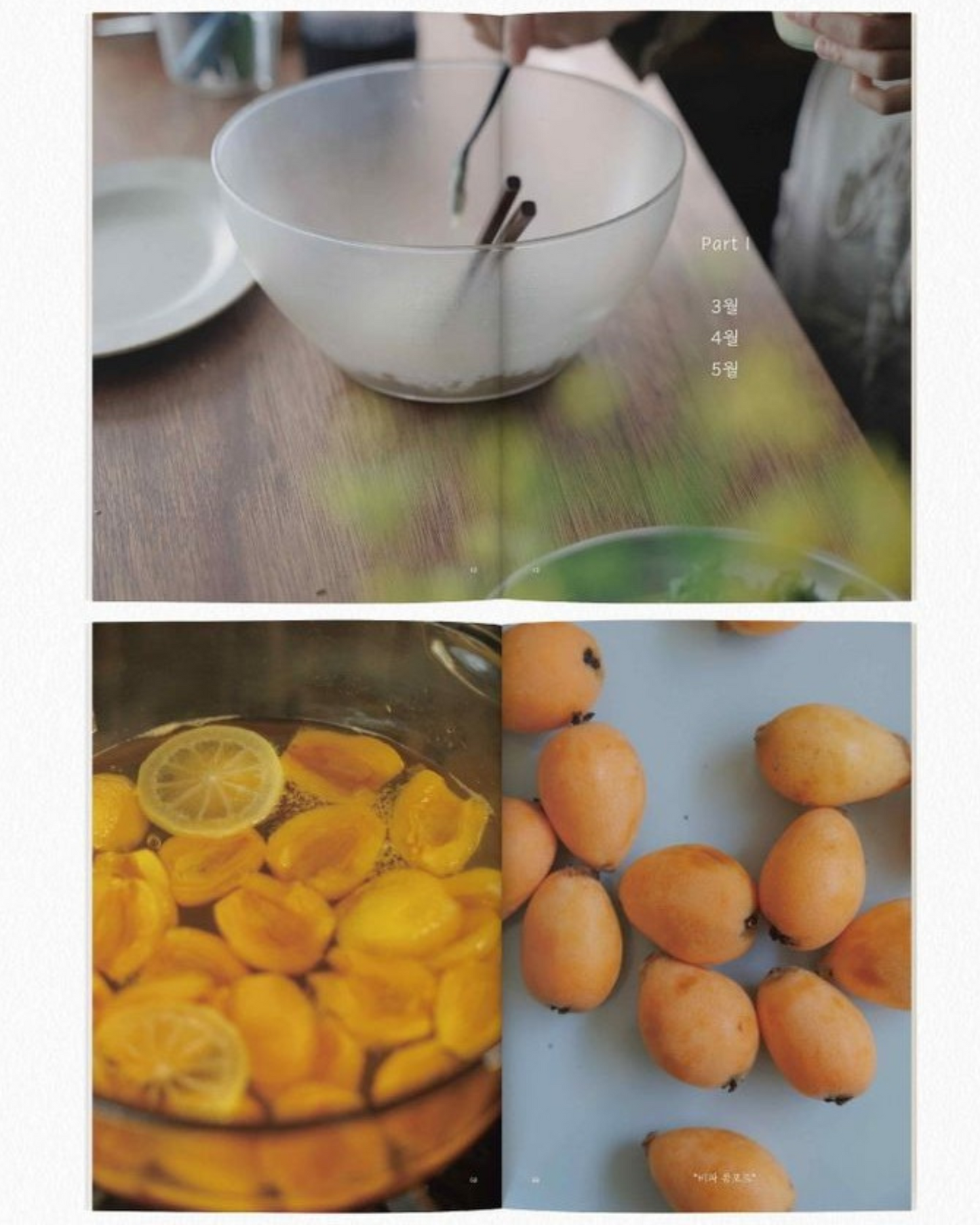 재료의 산책, 두 번째 이야기｜食材散步：第二部故事