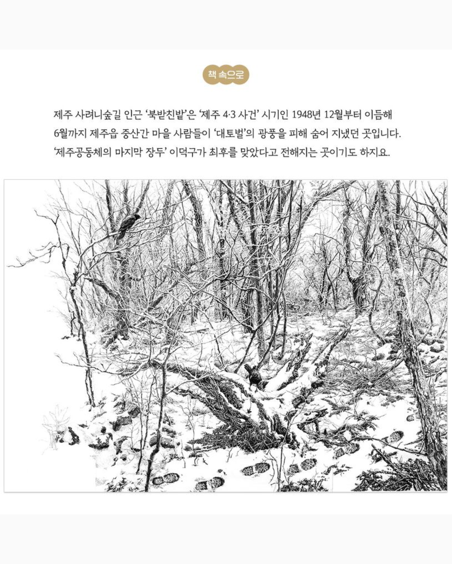 북받친밭 이야기｜濟州森林的故事