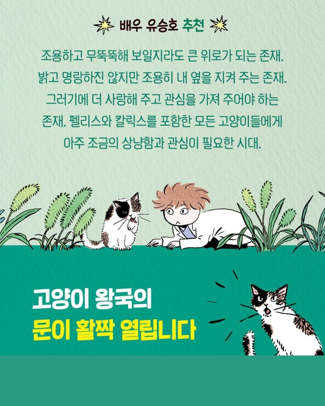 저주받은 고양이 펠리스｜被詛咒的貓咪菲利斯