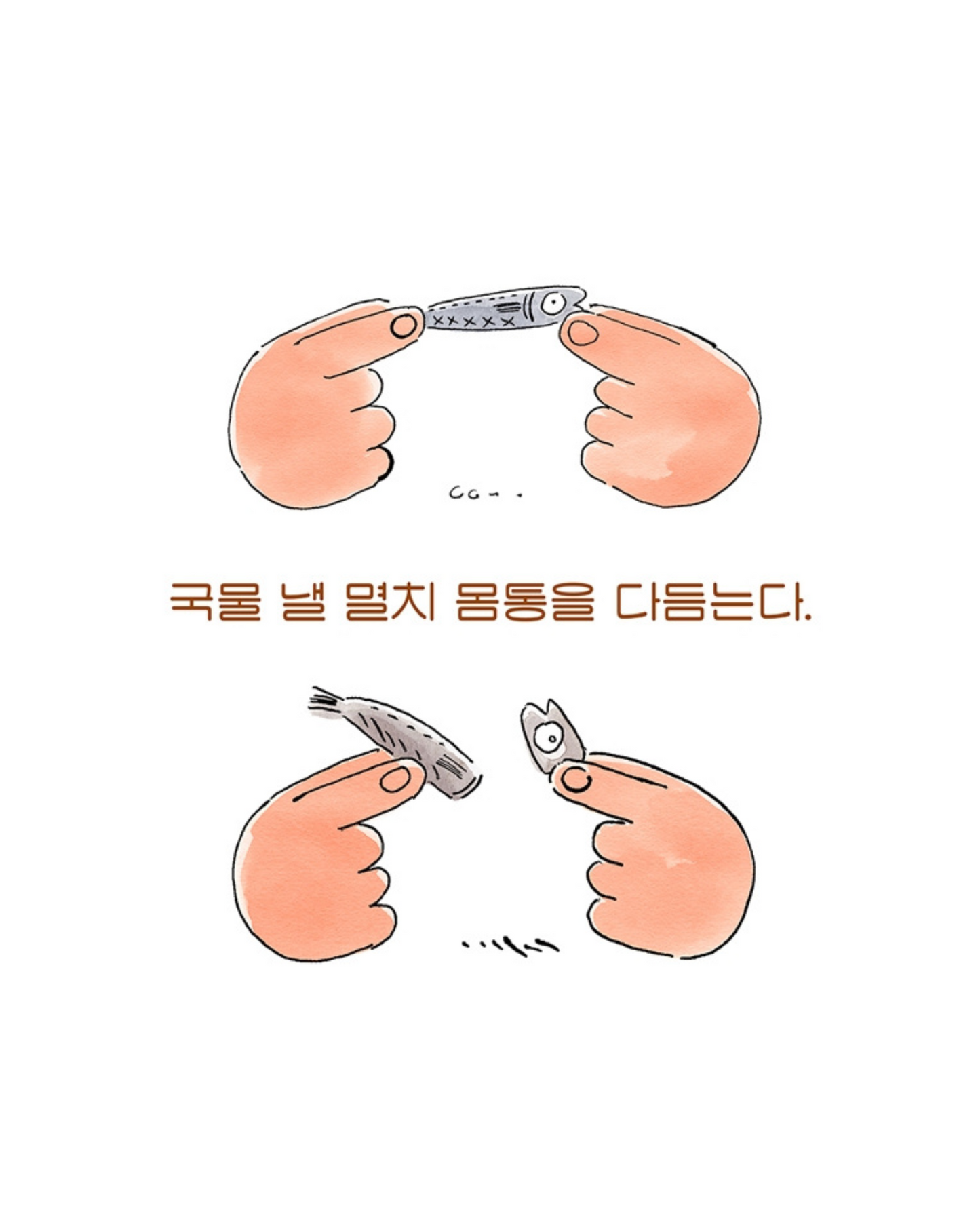 멸치 다듬기｜鯷魚的異想世界