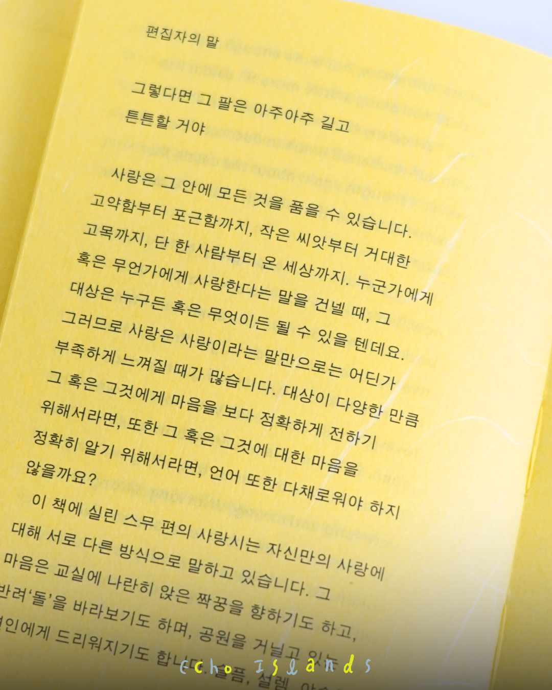 우리는 사랑하기 좋은 팔을 가졌구나｜我們有著一雙適合相愛的臂膀｜獨立書店限定韓紙版