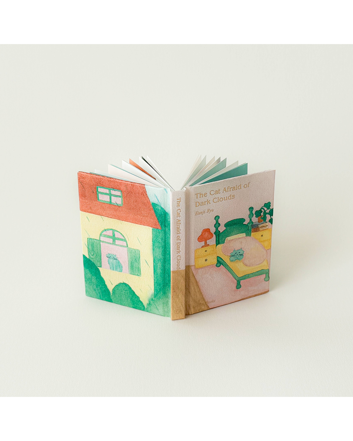 The Cat Afraid of Dark Clouds