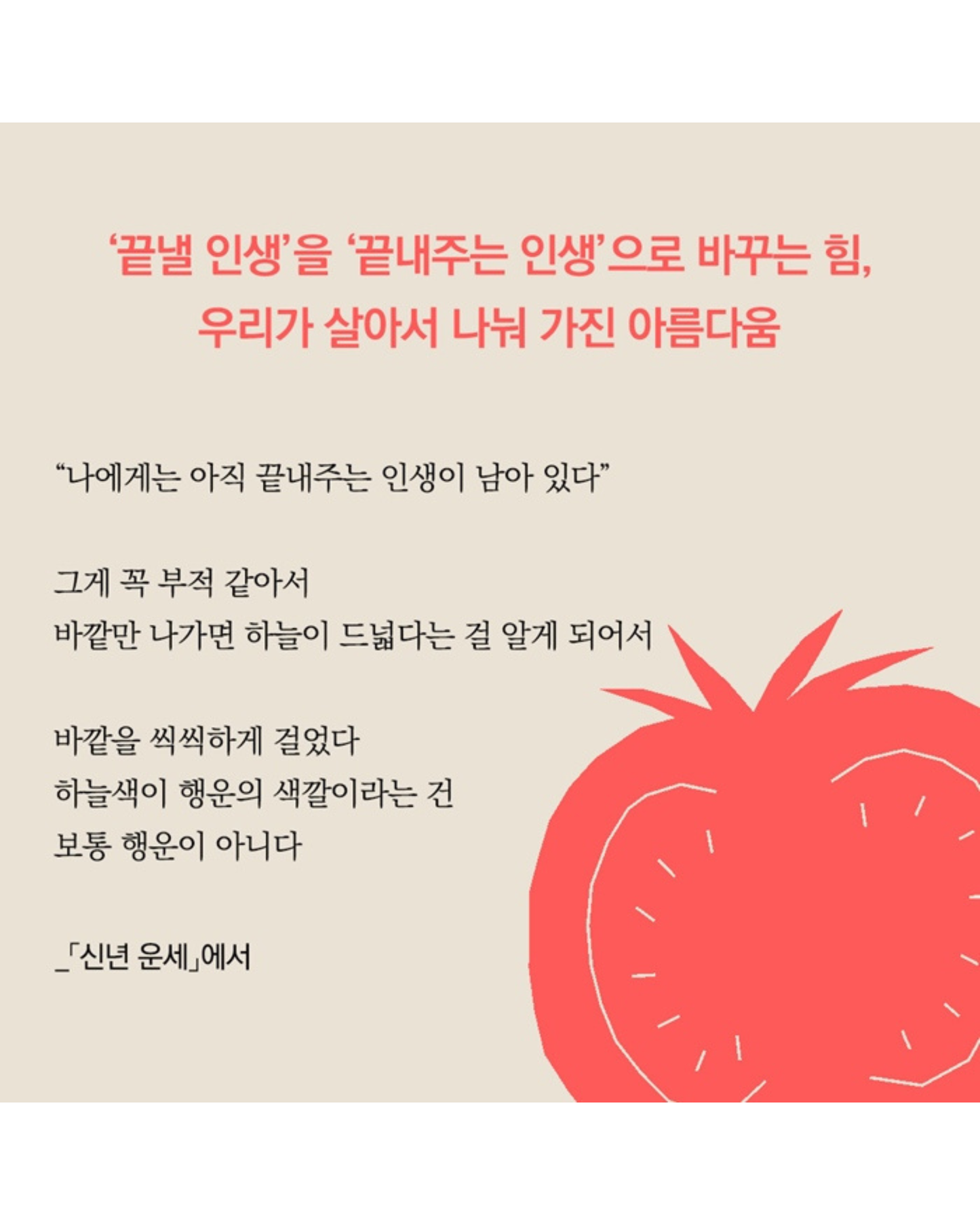 심장보다 단단한 토마토 한 알｜比心臟更堅強的一顆番茄