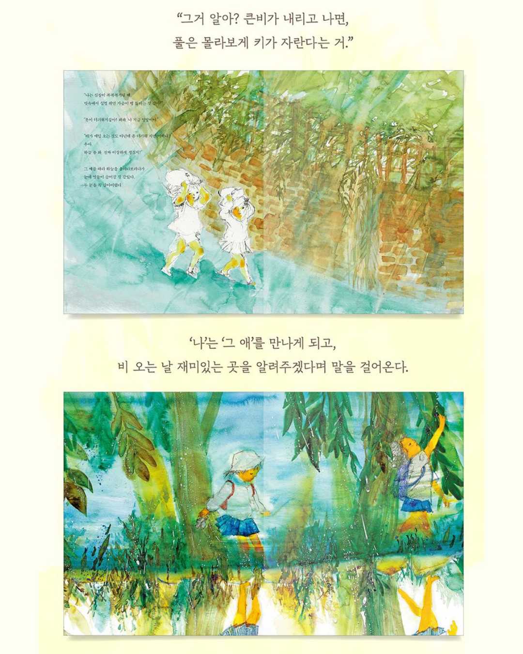 비가 내리고 풀은 자란다｜雨落下，草長大