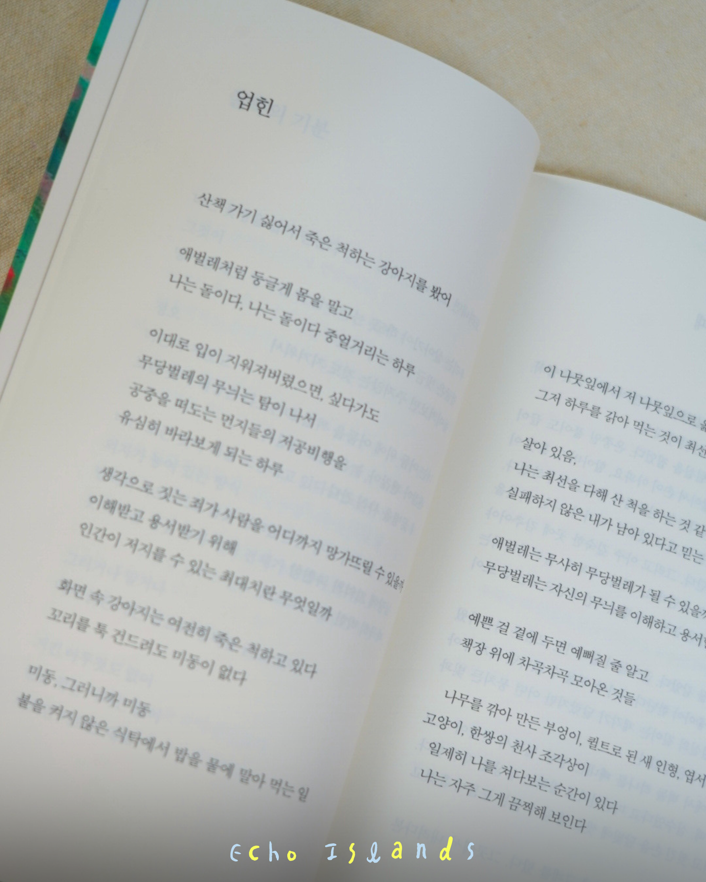 여름 언덕에서 배운 것｜在夏日山丘學到的事