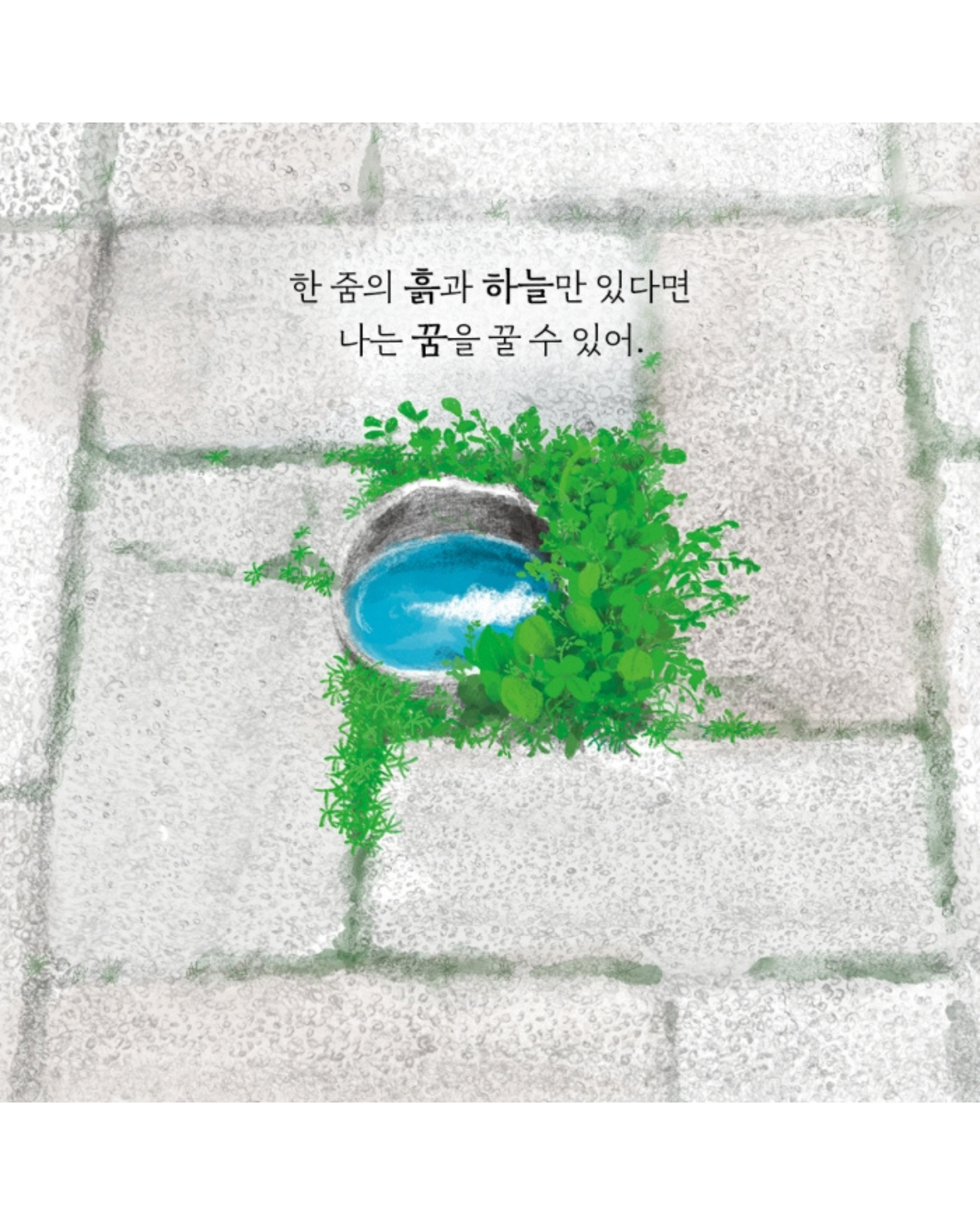 틈만 나면｜裂縫生光