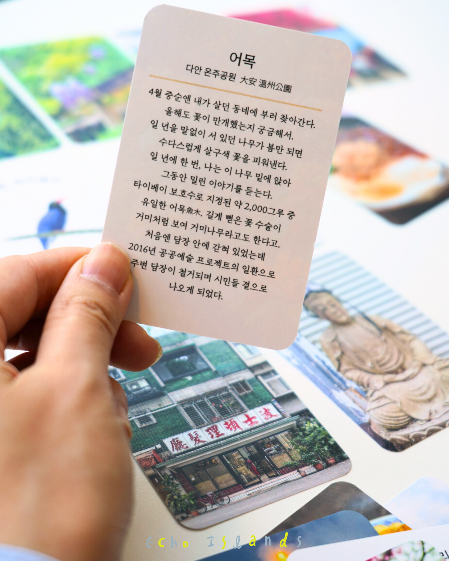 預購｜펼치면, 타이베이｜打開台北的50種方式