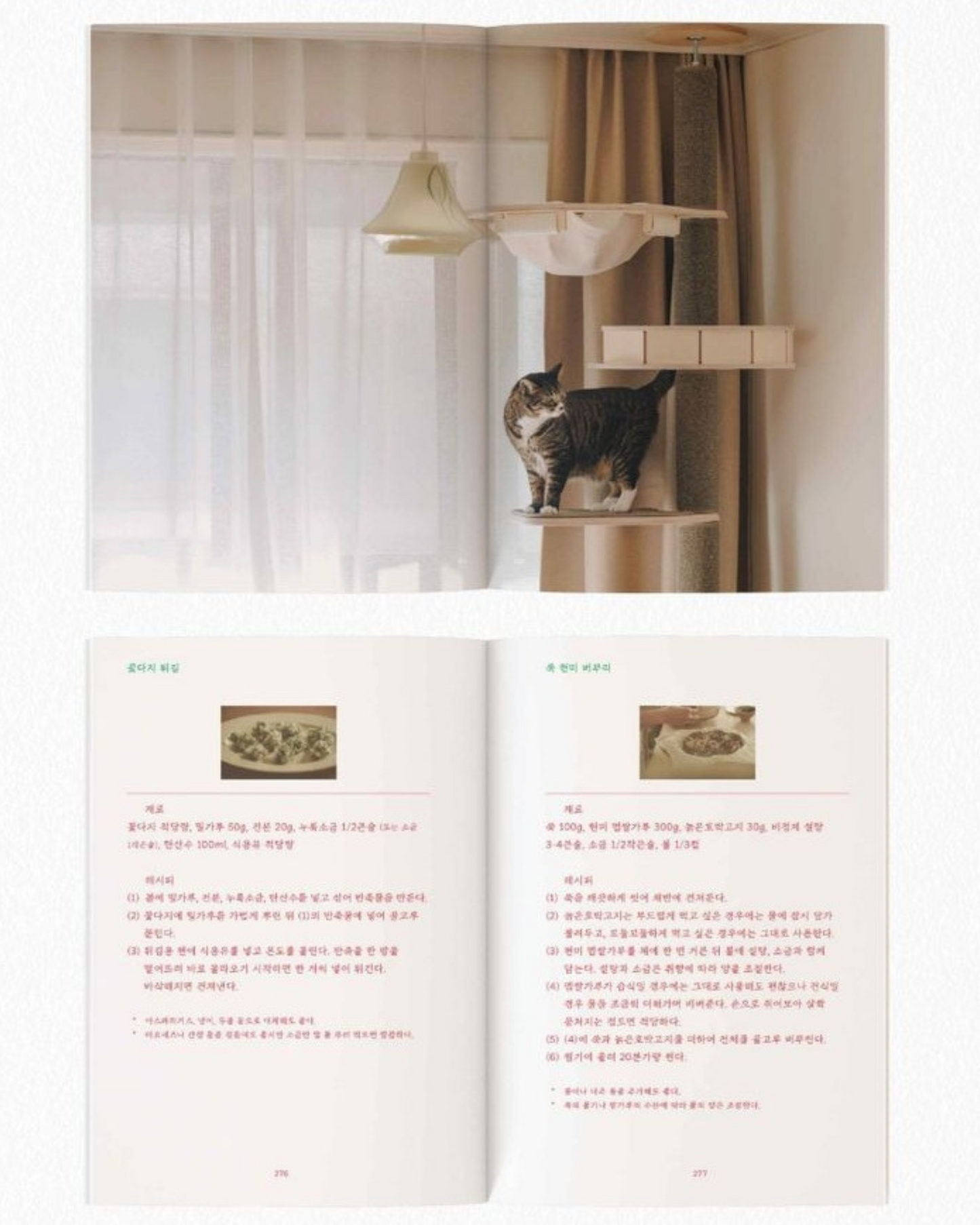 재료의 산책, 두 번째 이야기｜食材散步：第二部故事