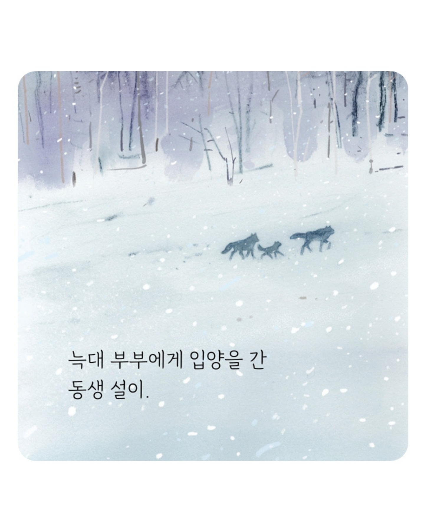안개 숲을 지날 때｜穿越迷霧森林