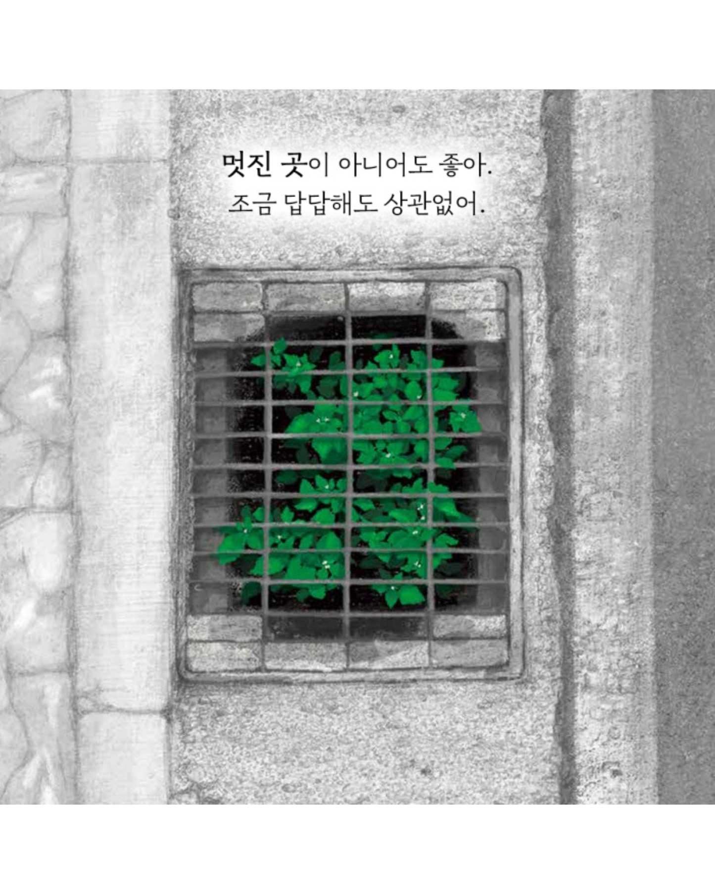 틈만 나면｜裂縫生光