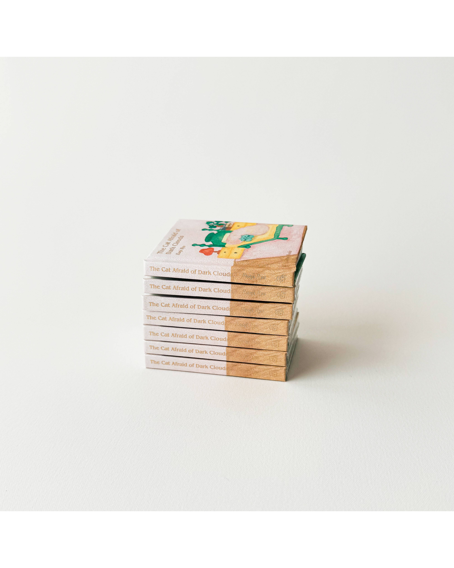 The Cat Afraid of Dark Clouds