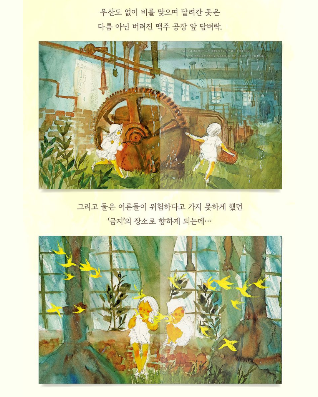비가 내리고 풀은 자란다｜雨落下，草長大