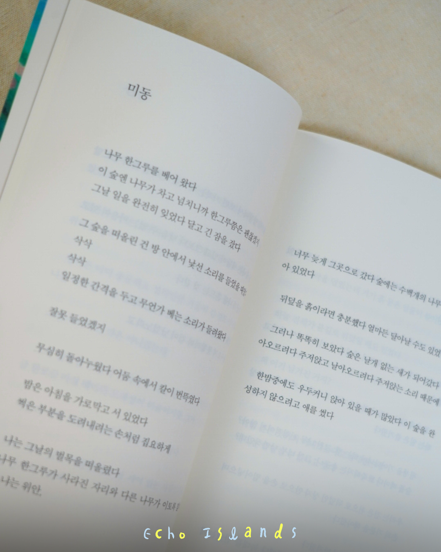 여름 언덕에서 배운 것｜在夏日山丘學到的事