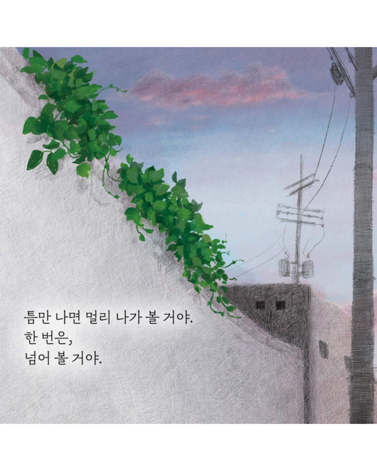 틈만 나면｜裂縫生光