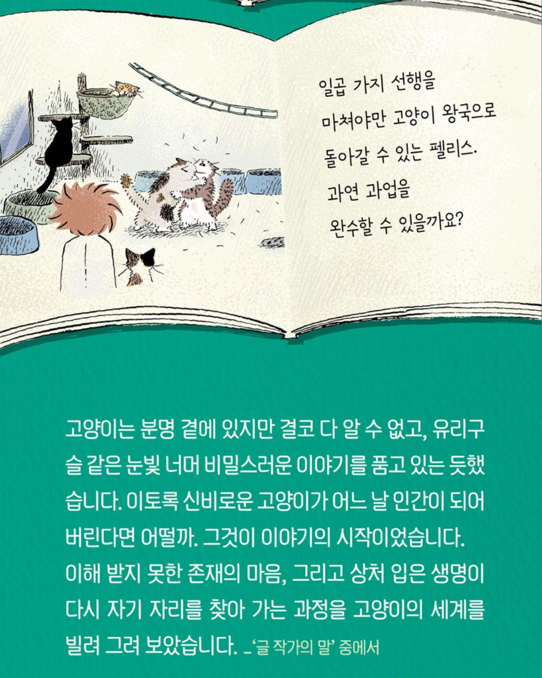 저주받은 고양이 펠리스｜被詛咒的貓咪菲利斯