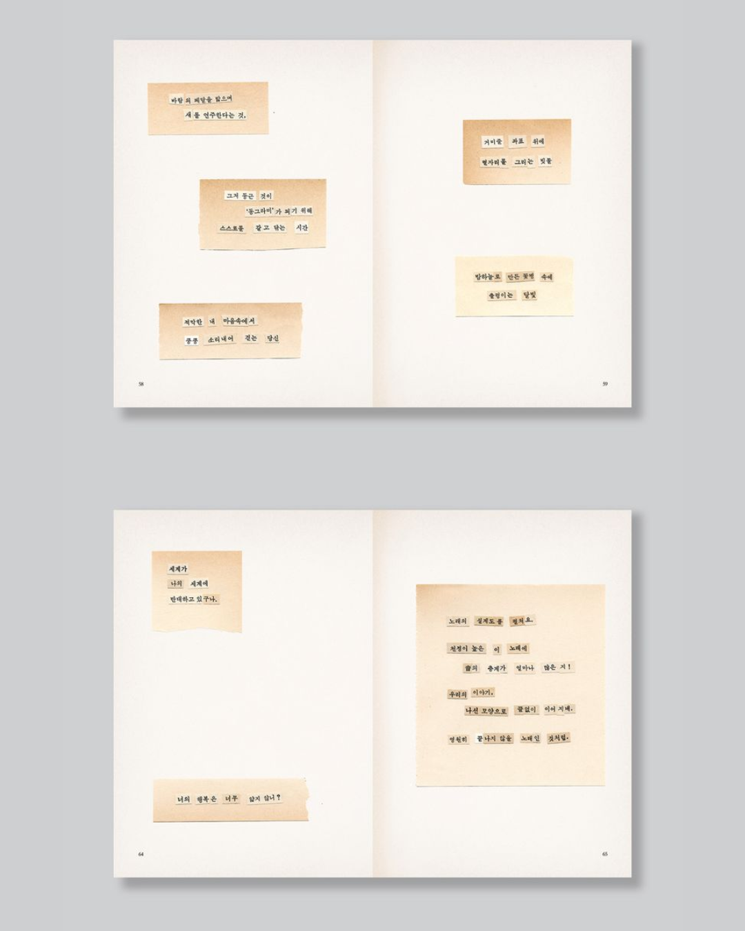 세계의 싹들｜世界的幼苗