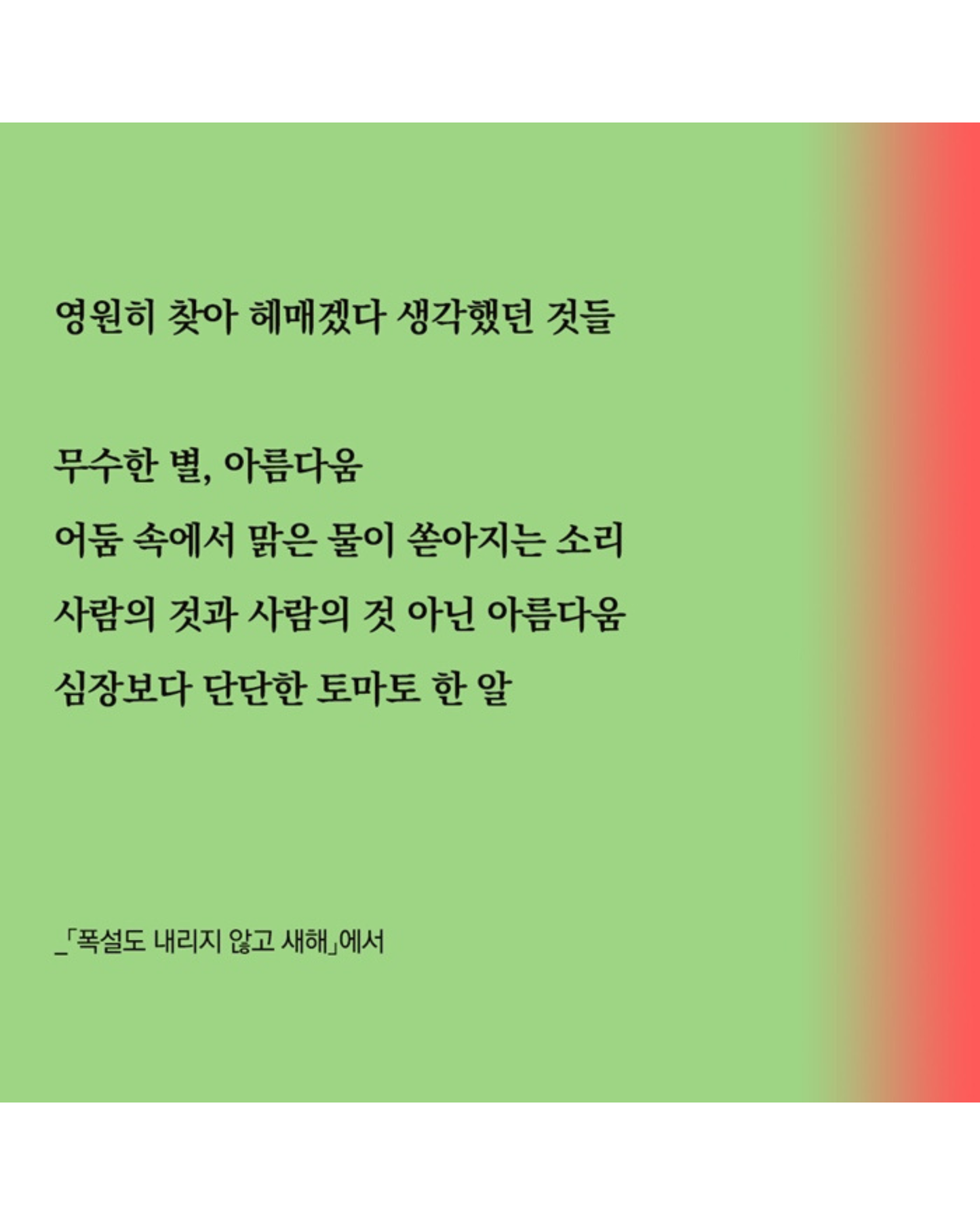 심장보다 단단한 토마토 한 알｜比心臟更堅強的一顆番茄