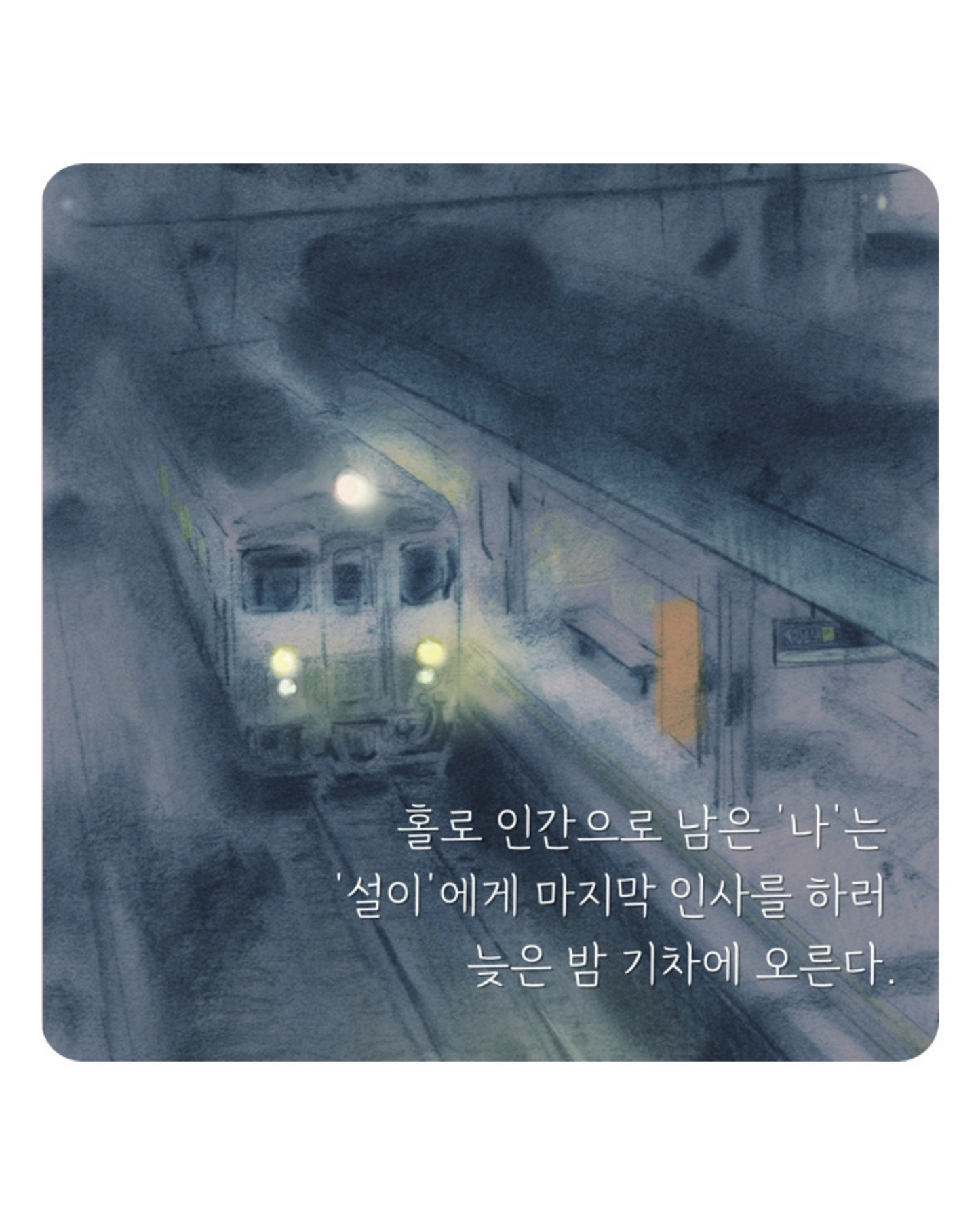 안개 숲을 지날 때｜穿越迷霧森林