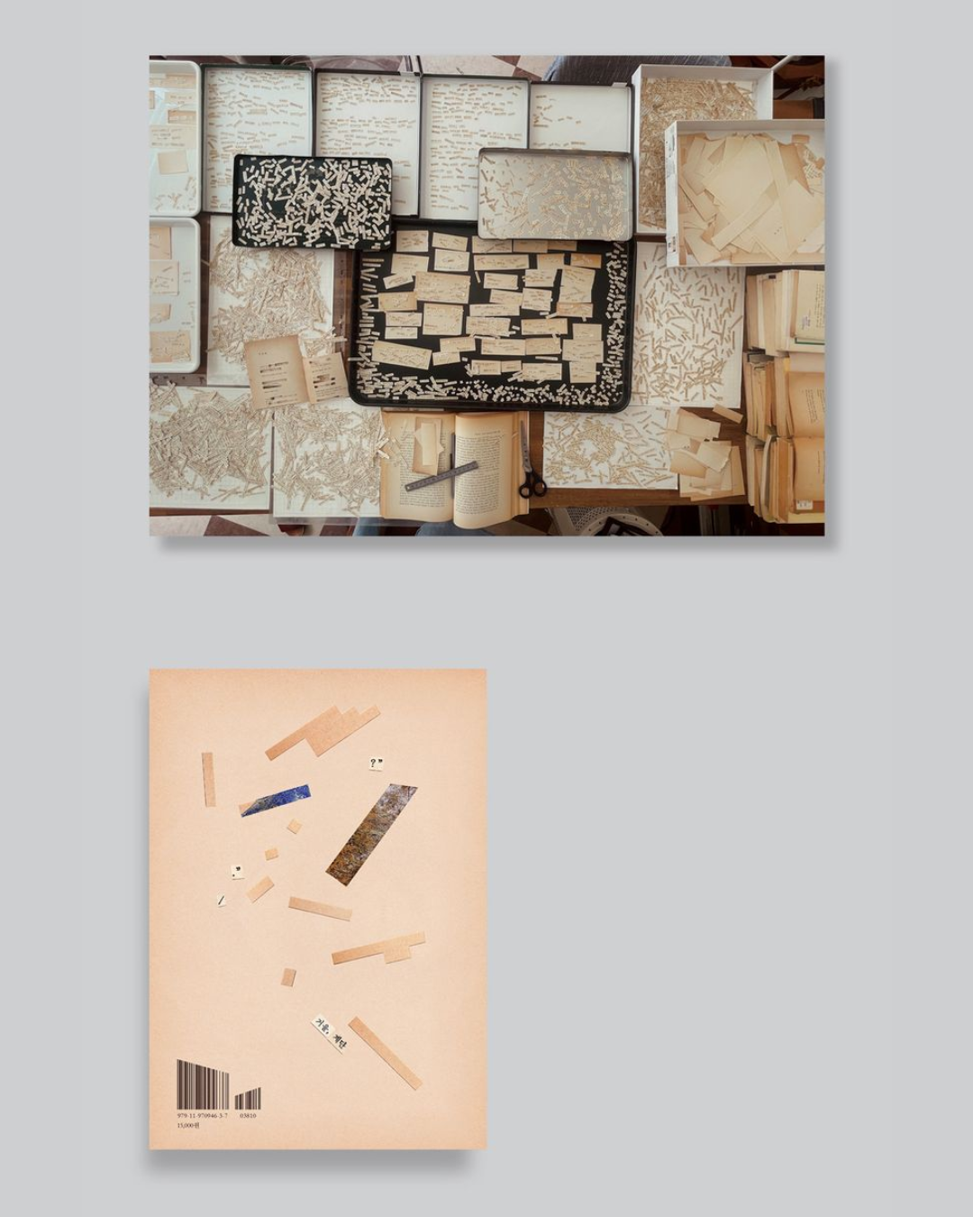 세계의 싹들｜世界的幼苗