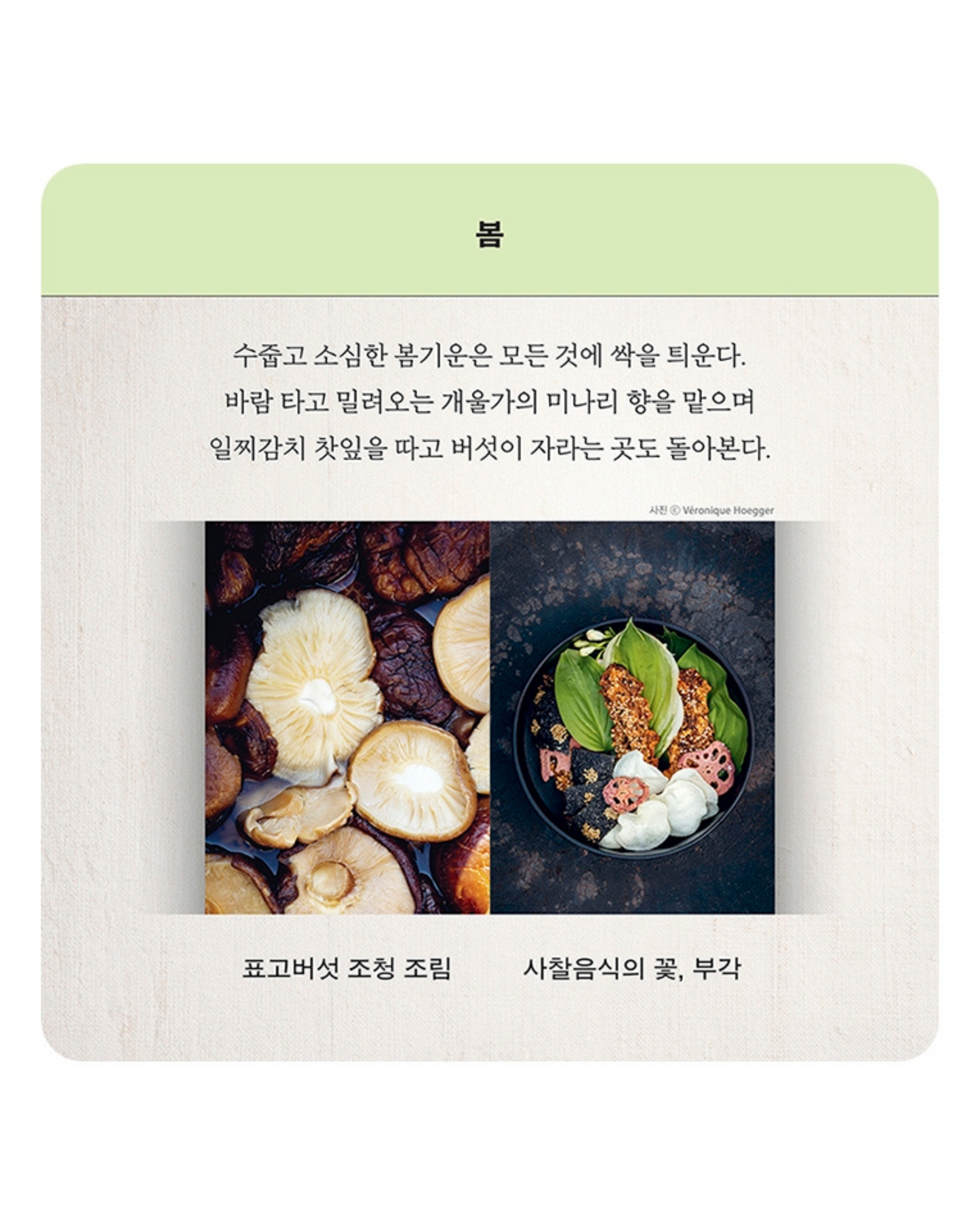 정관스님 나의 음식｜正寬法師的寺廟料理