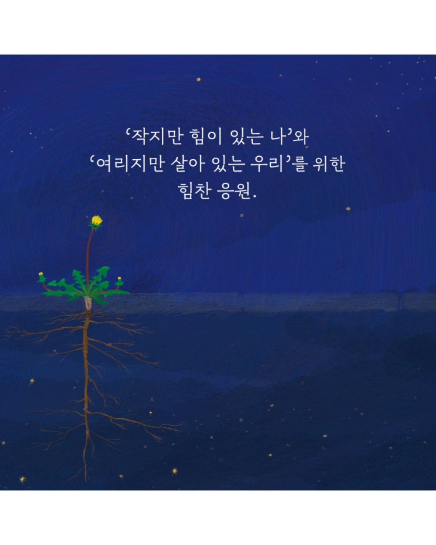 틈만 나면｜裂縫生光