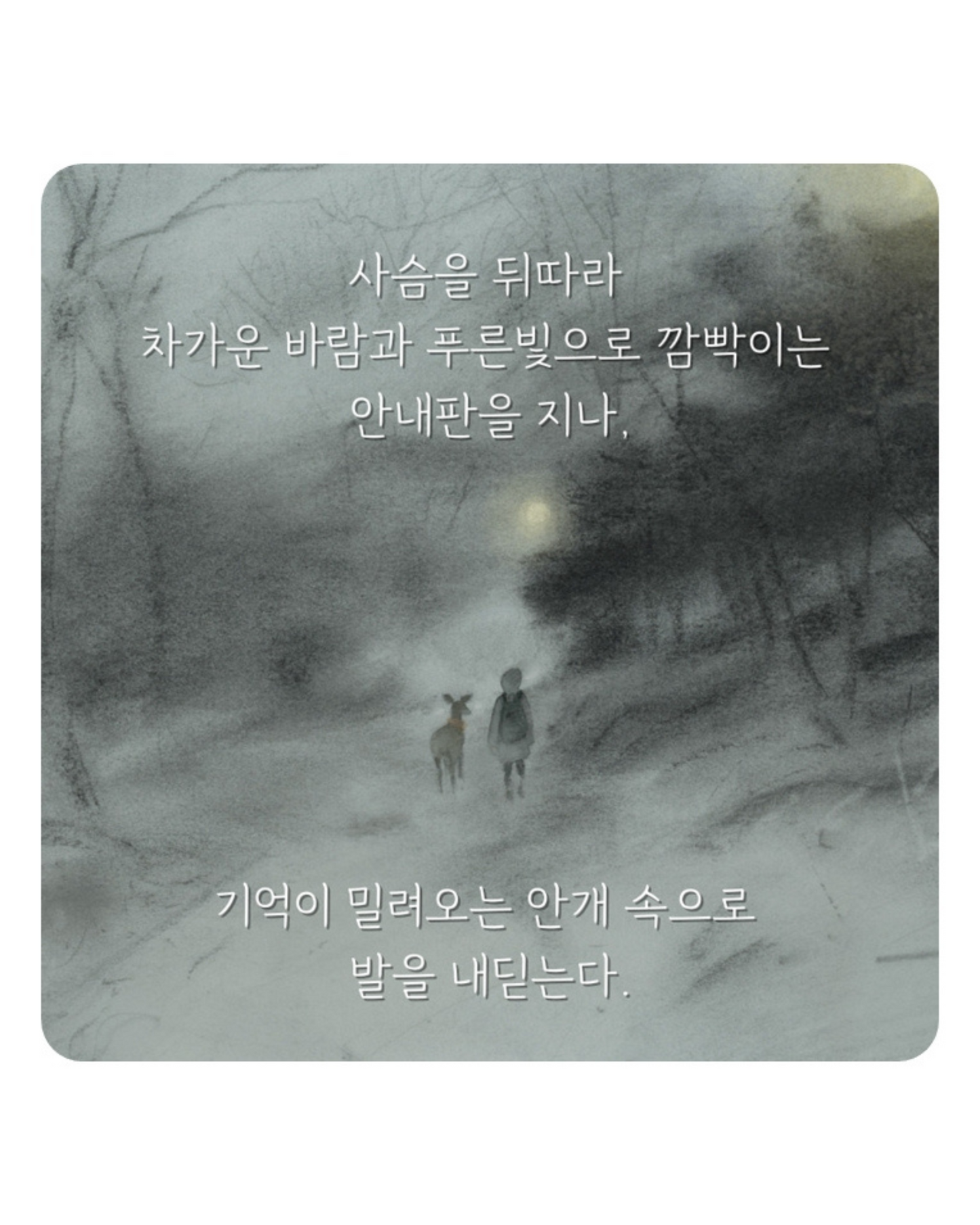 안개 숲을 지날 때｜穿越迷霧森林