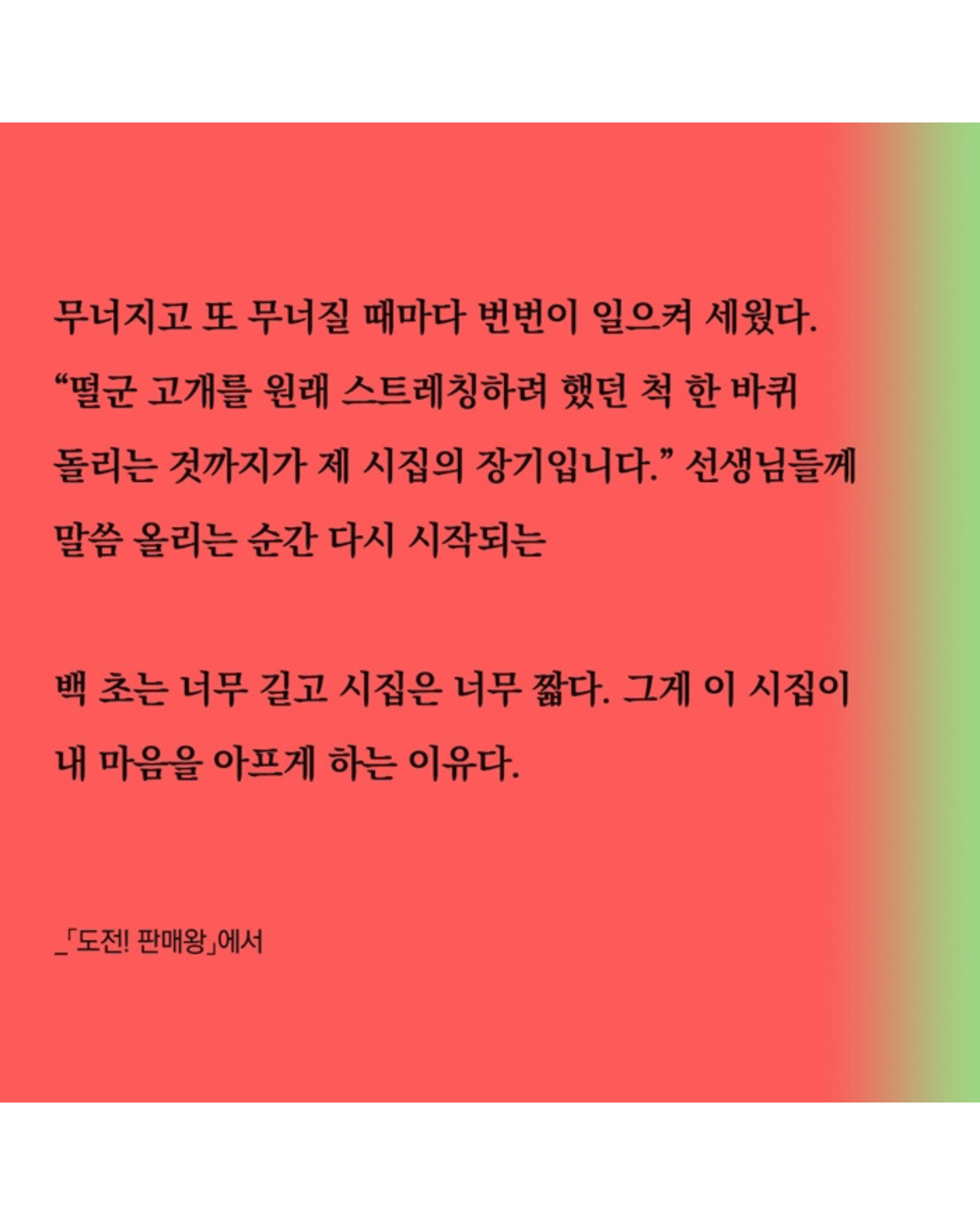 심장보다 단단한 토마토 한 알｜比心臟更堅強的一顆番茄