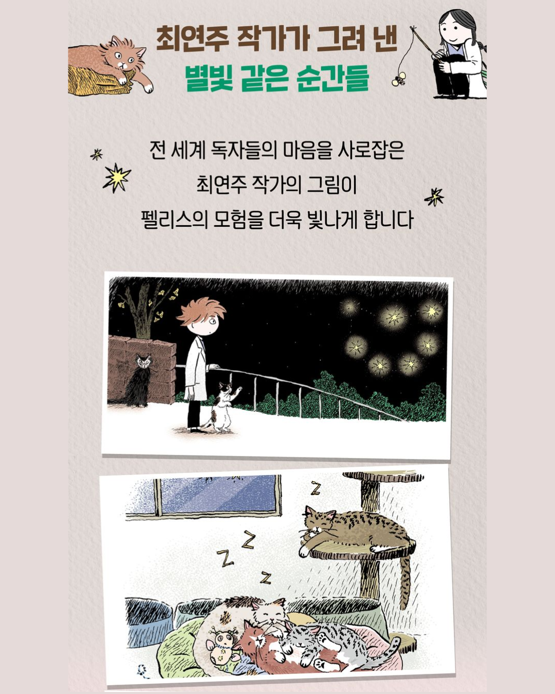 저주받은 고양이 펠리스｜被詛咒的貓咪菲利斯