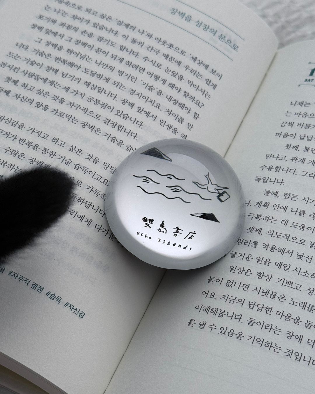 굿즈 ✨ 雙島水晶紙鎮